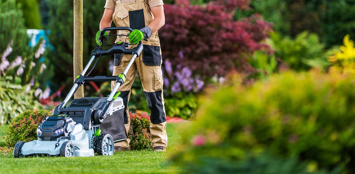 Ace-Lush-Lawns-1
