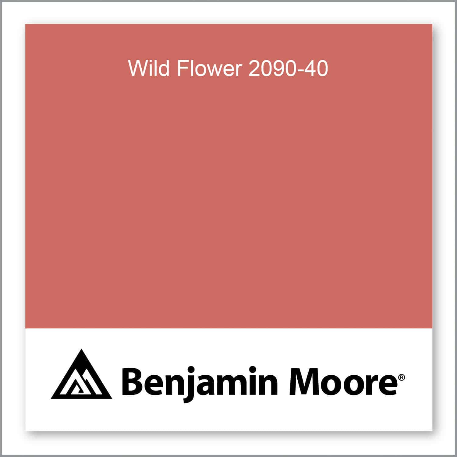 Ace-Wild-Flower-2090-40-swatch