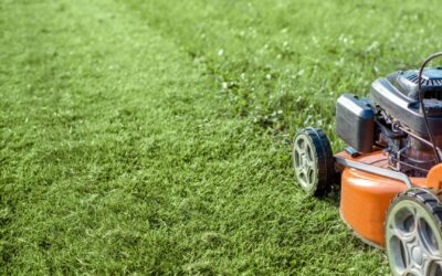 Protect Your Family and Pets: Tick Safety Tips for the Summer